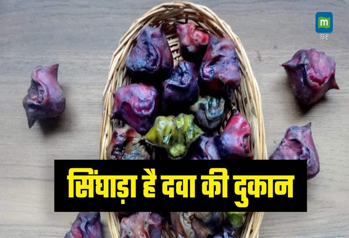 सिंघाड़ा है पूरा मेडिकल स्टोर! गठिया, थायराइड समेत कई बीमारियों के लिए रामबाण, फायदे सुनकर हो जाएंगे हैरान