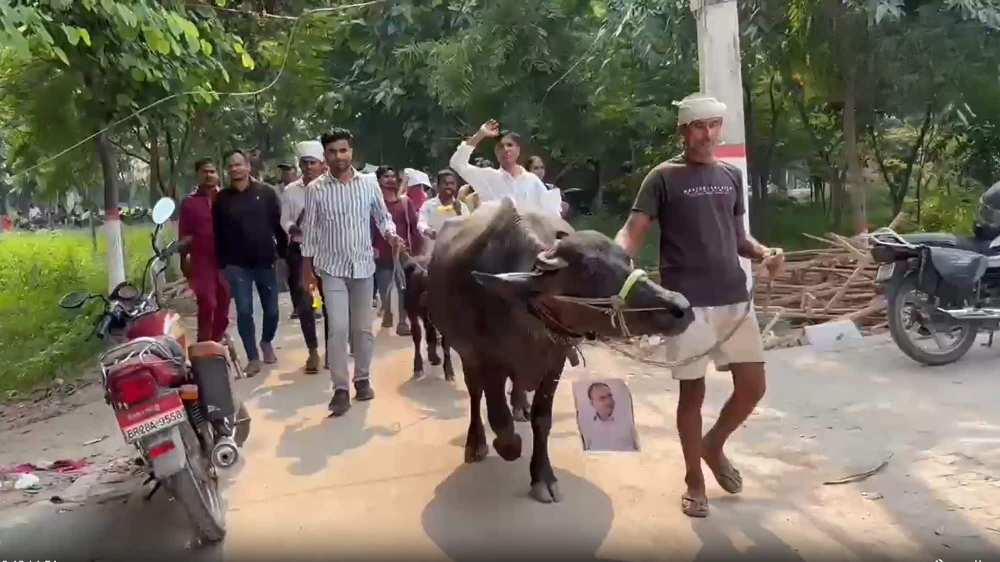 भैंस लेकर यूनिवर्सिटी पहुंचे छात्र, पहले किए थे जूते पॉलिश, जयप्रकाश विश्वविद्यालय में क्यों नाराज हैं स्टूडेंट? भैंस लेकर यूनिवर्सिटी पहुंचे छात्र, पहले किए थे जूते पॉलिश, जयप्रकाश विश्वविद्यालय में क्यों नाराज हैं स्टूडेंट?