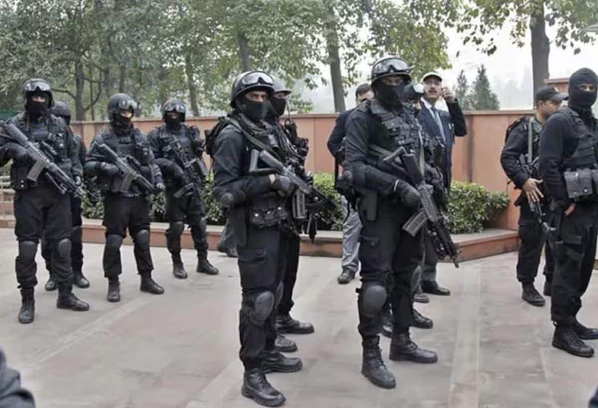 बाबा सिद्दीकी को मिली थी Y श्रेणी की सिक्योरिटी, जानिए कितना होता है सुरक्षा बलों का घेरा