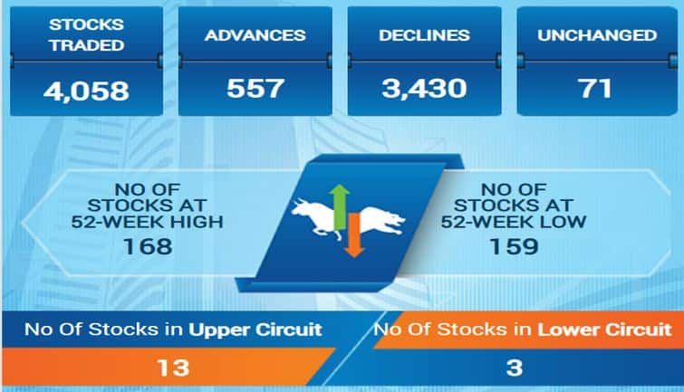 sensex81f