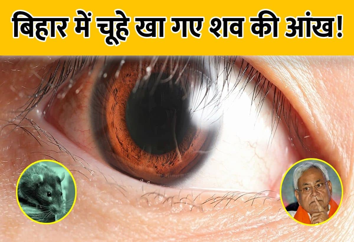हे भगवान! बिहार के सरकारी अस्पताल में चूहे खा गए शव की आंख, दो नर्स सस्पेंड