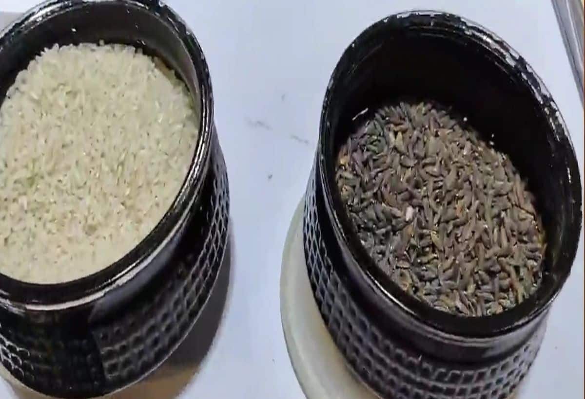 Kala Namak Rice: CA ने शुरू कर दिया काला नमक चावल की खेती, दिल्ली के ट्रेड फेयर में छा गए