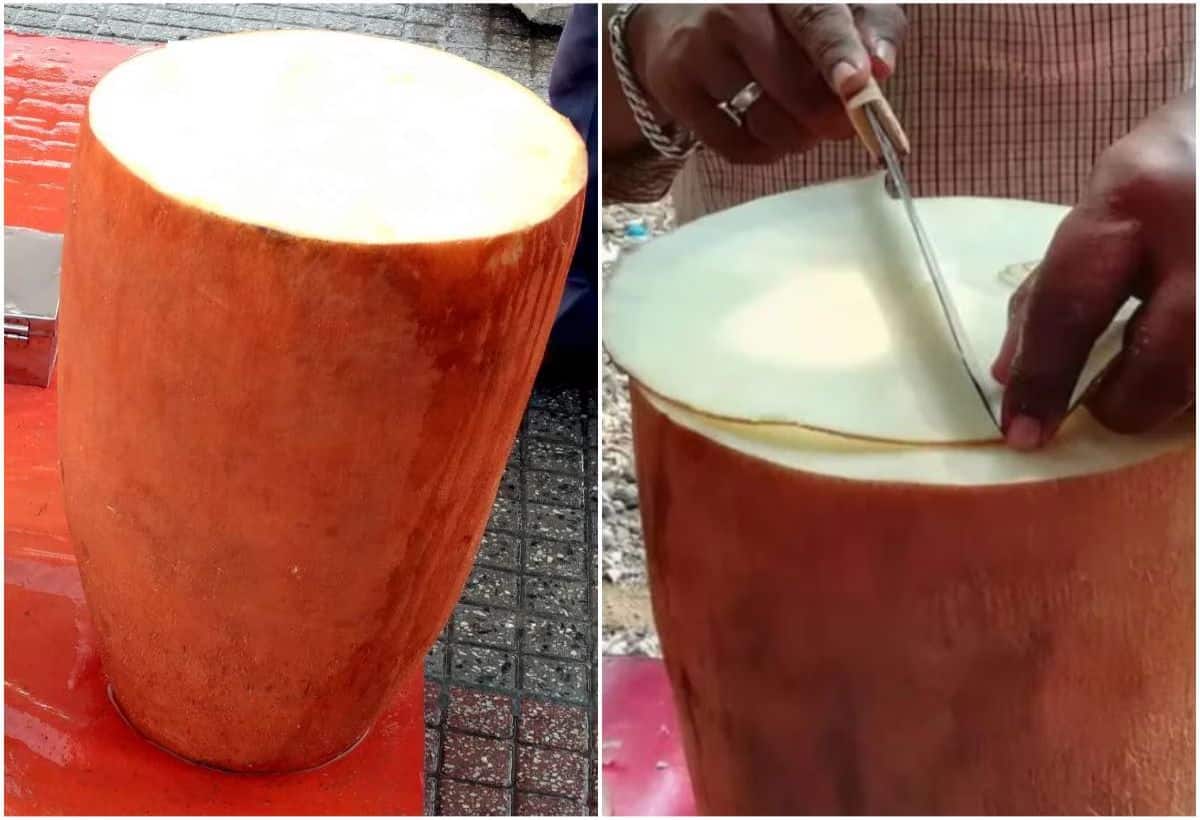 Diabetes: इस खास फल से ब्लड शुगर रहेगा कंट्रोल, भगवान श्री राम ने कई साल तक किया था सेवन
