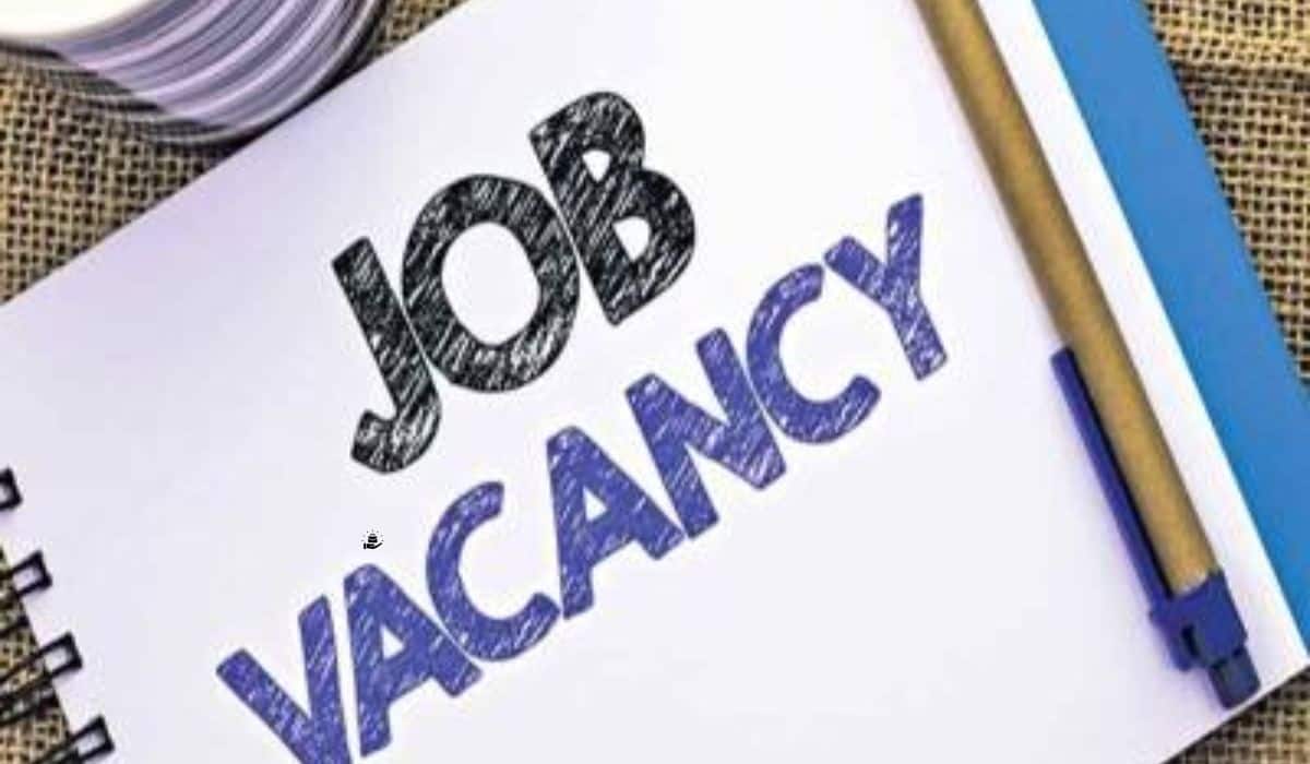 UPSSSC Jobs 2024: यूपी में सरकारी नौकरी पाने का सुनहरा मौका, 12वीं पास भी कर सकते हैं अप्लाई, यहां जानें पूरी डिटेल्स