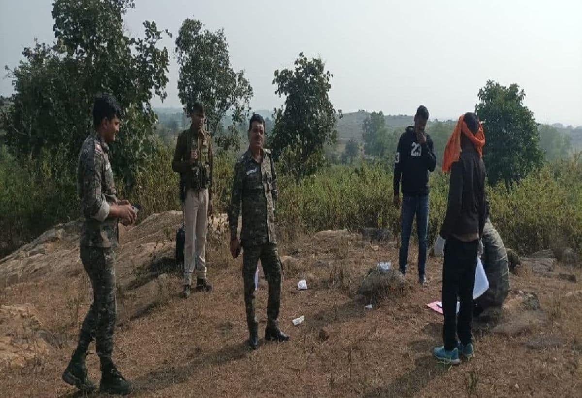 Jharkhand Murder: प्रेमी ने पहले किया रेप, फिर लिव-इन पार्टनर की जंगल में कर दी हत्या, शव के किए 40 टुकड़े, आवारा कुत्तों ने खोला राज