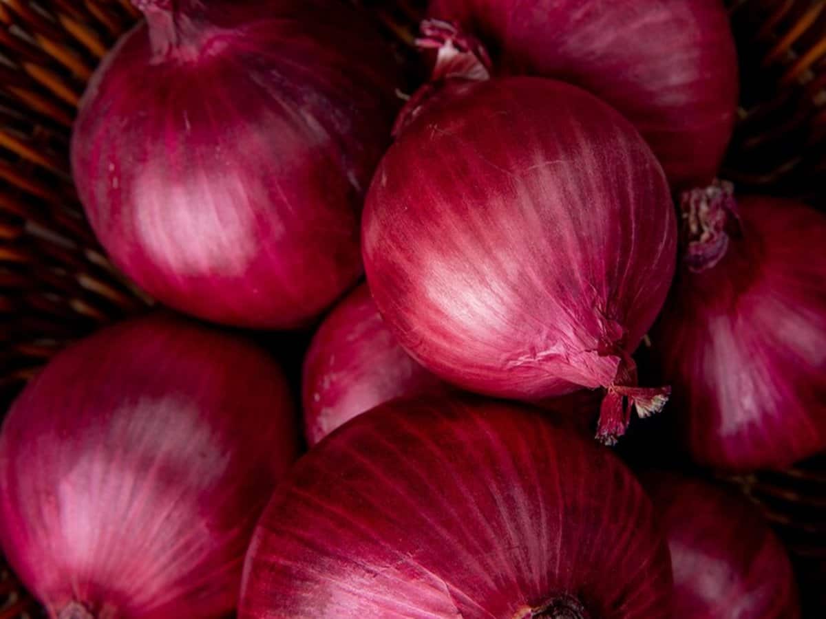 Onion Price: रुलाने लगी प्याज; दिल्ली, मुंबई, लखनऊ में आसमान छू रहीं कीमतें