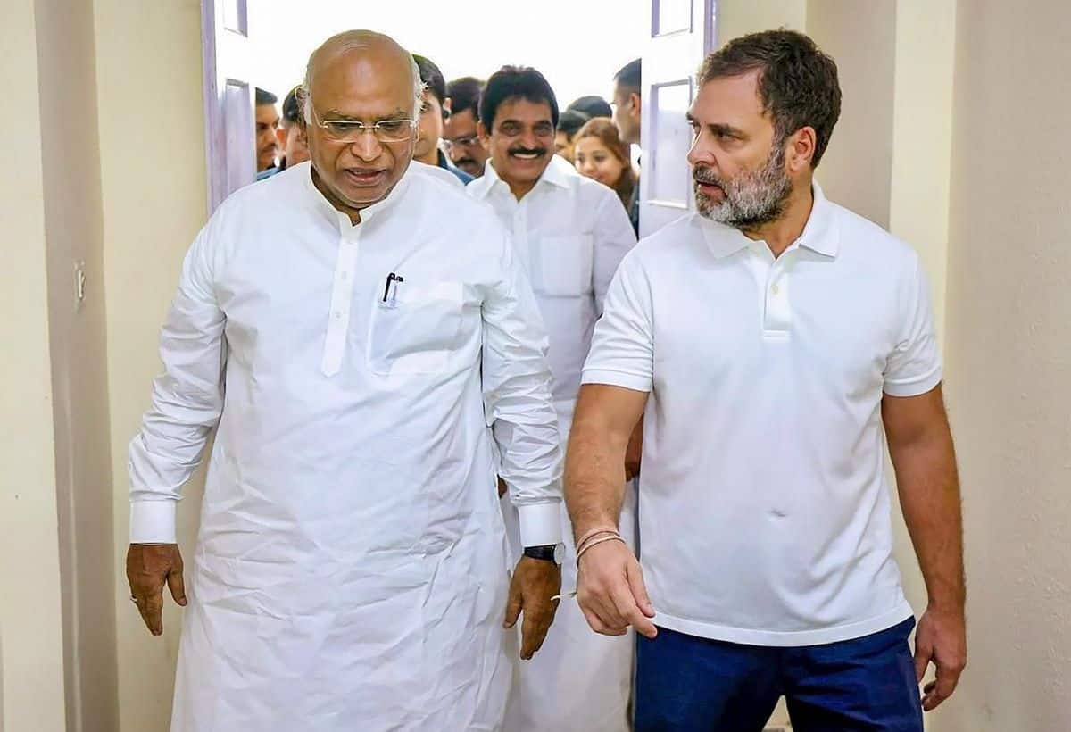दिल्ली चुनाव को कभी नहीं भूल पाएंगे राहुल गांधी! कांग्रेस की 67 सीटों पर जमानत जब्त, लगातार तीसरी बार नहीं खुला खाता