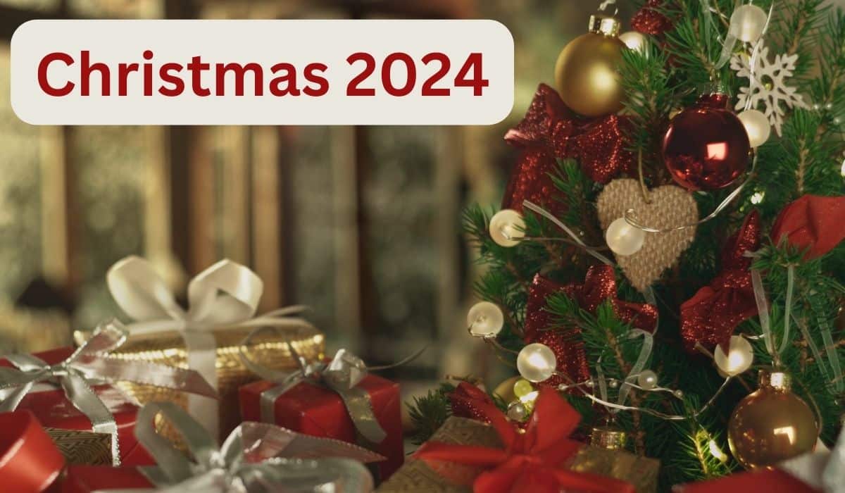 Christmas 2024: क्रिसमस ट्री से लेकर सांता क्लॉज तक..., Christmas में कहां से आई ये चीजें, जानें क्या है इसके पीछे की कहानी Christmas 2024: क्रिसमस ट्री से लेकर सांता क्लॉज तक..., Christmas में कहां से आई ये चीजें, जानें क्या है इसके पीछे की कहानी