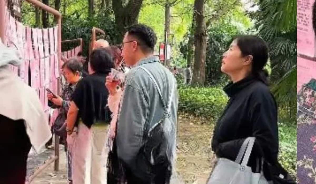 Video: शादी के लिए लगती है मंडी, बिकते हैं दूल्हा-दुल्हन, देखें वीडियो Video: शादी के लिए लगती है मंडी, बिकते हैं दूल्हा-दुल्हन, देखें वीडियो