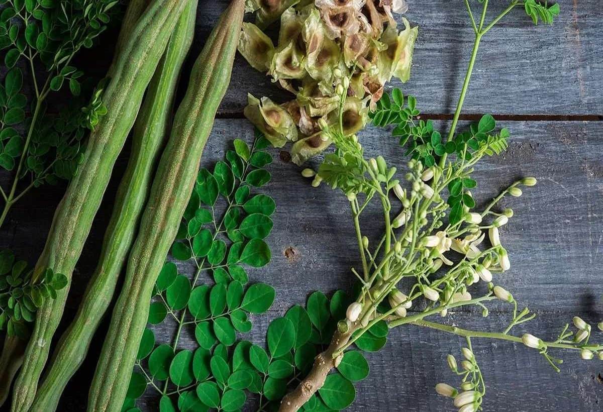 Business Idea: सिर्फ एक बार लगाएं पैसे, 10 साल तक करें मोटी कमाई, चमक जाएगी किस्मत