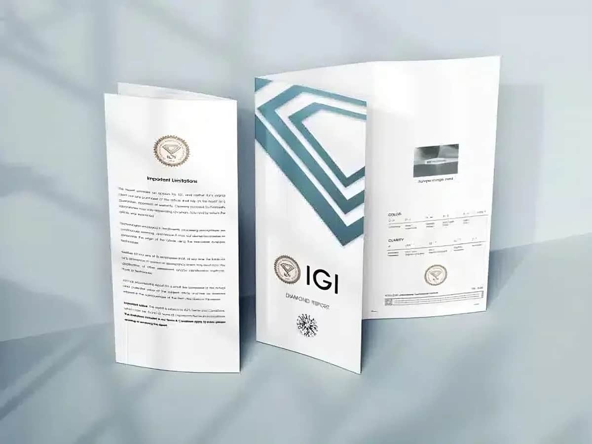 IGI IPO Listing: ₹417 का शेयर ₹510 पर लिस्ट, एंट्री के बाद और तेजी ने चमकाया पोर्टफोलियो