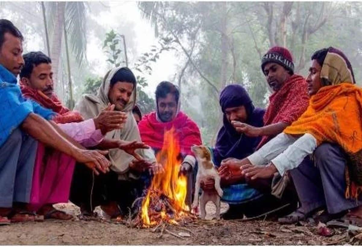 Weather Updates: दिल्ली- NCR समेत कई राज्यों में हाड़ कंपा देने वाली ठंड से हाल बेहाल, जानें अपने शहर में मौसम का मिजाज
