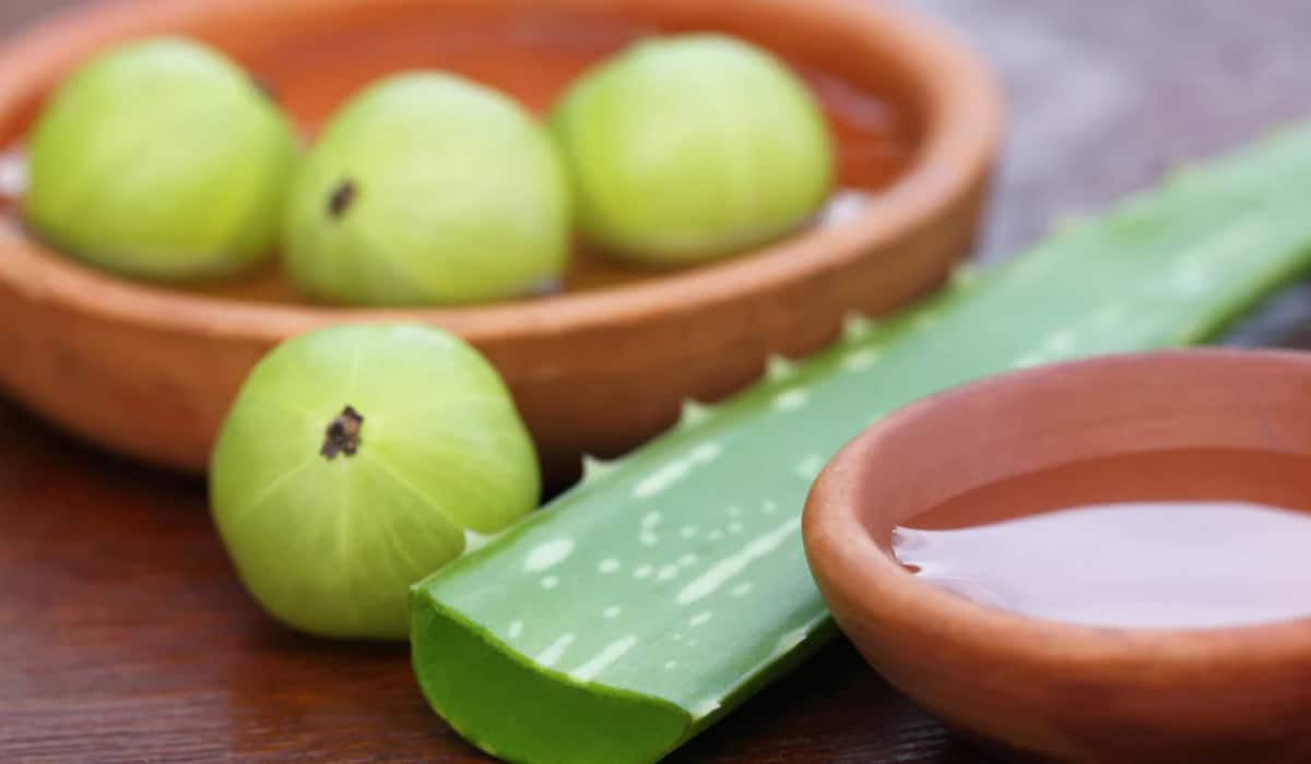 Hair care: बालों में आएगी फिर से खोई हुई चमक, बस घर पर करें ये घरेलू उपाय
