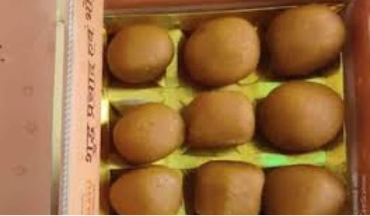 Mahakumbh 2025: अब हर घर तक पहुंचेगा महाकुंभ का 'महाप्रसाद', वायु ऐप से मिलेगा घर बैठे, ऐसे करें ऑर्डर Mahakumbh 2025: अब हर घर तक पहुंचेगा महाकुंभ का 'महाप्रसाद', वायु ऐप से मिलेगा घर बैठे, ऐसे करें ऑर्डर