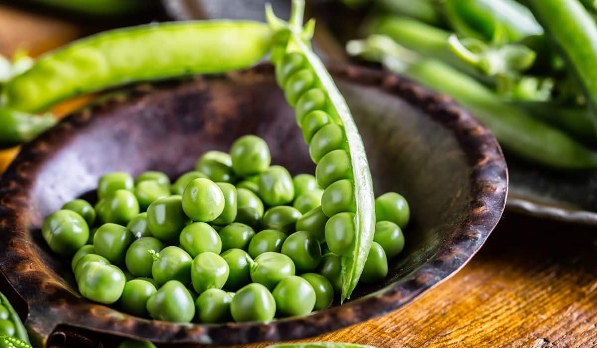 Peas Side Effects: ज्यादा मटर खाने वाले हो जाएं अलर्ट, किडनी के लिए हो सकता है खतरनाक, जानें कितना करें सेवन