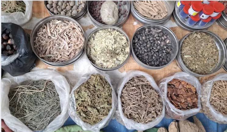 Battisa Benefits: बत्तीसा चूर्ण है पूरा मेडिकल स्टोर, इम्यूनिटी और हड्डियां होंगी मजबूत, पेट का हर मर्ज होगा ठीक