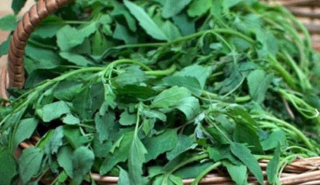 Bathua Saag Benefits: बथुआ से चेहरे में आएगी चमक, बढ़ेगी इम्यूनिटी, महिलाओं के लिए है सेहत का खजाना