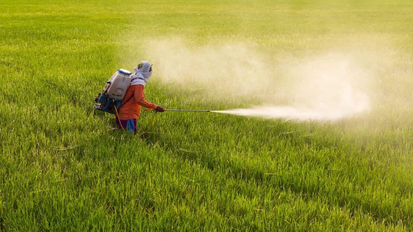 Fertiliser stocks: बजट से पहले फर्टिलाइजर्स शेयरों ने भरी उड़ान; RCF, मद्रास फर्टिलाइजर 3% तक उछले