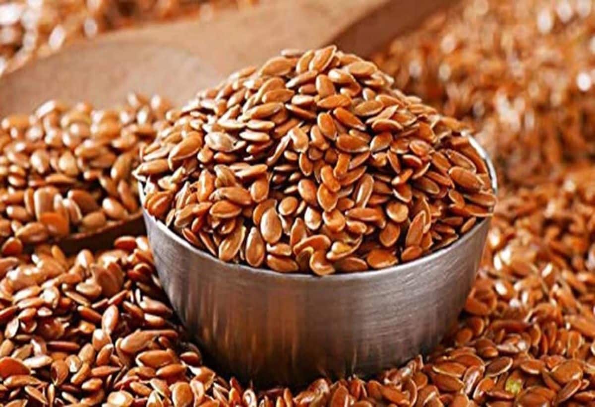 Cancer: लाल रंग के ये छोटे बीज कैंसर को नजदीक फटकने भी नहीं देते, सेहत के लिए हैं रामबाण, जानिए चमत्कारिक फायदे Cancer: लाल रंग के ये छोटे बीज कैंसर को नजदीक फटकने भी नहीं देते, सेहत के लिए हैं रामबाण, जानिए चमत्कारिक फायदे