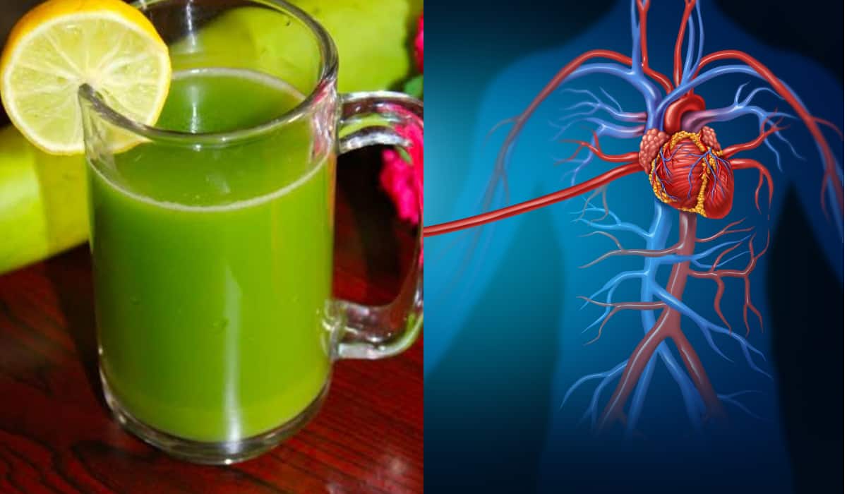 Benefits Of Bottle Gourd: लौकी है गुणों की खान, वजन से लेकर दिल रहेगा दुरुस्त, जानिए कैसे करें सेवन Benefits Of Bottle Gourd: लौकी है गुणों की खान, वजन से लेकर दिल रहेगा दुरुस्त, जानिए कैसे करें सेवन