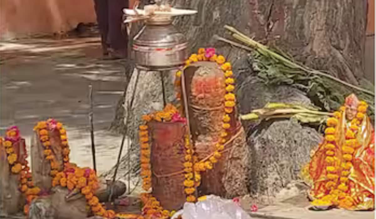 Mahashivratri 2025: इस शहर में तालाब और नीम से प्रकट हुए महादेव! जानें इस अद्भुत स्थल का रहस्य