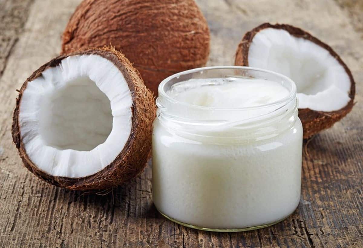 Coconut Benefits: नारियल से हेयर-स्किन और हार्ट रहेगा हेल्दी, कई बीमारियों की हो जाएगी छुट्टी Coconut Benefits: नारियल से हेयर-स्किन और हार्ट रहेगा हेल्दी, कई बीमारियों की हो जाएगी छुट्टी