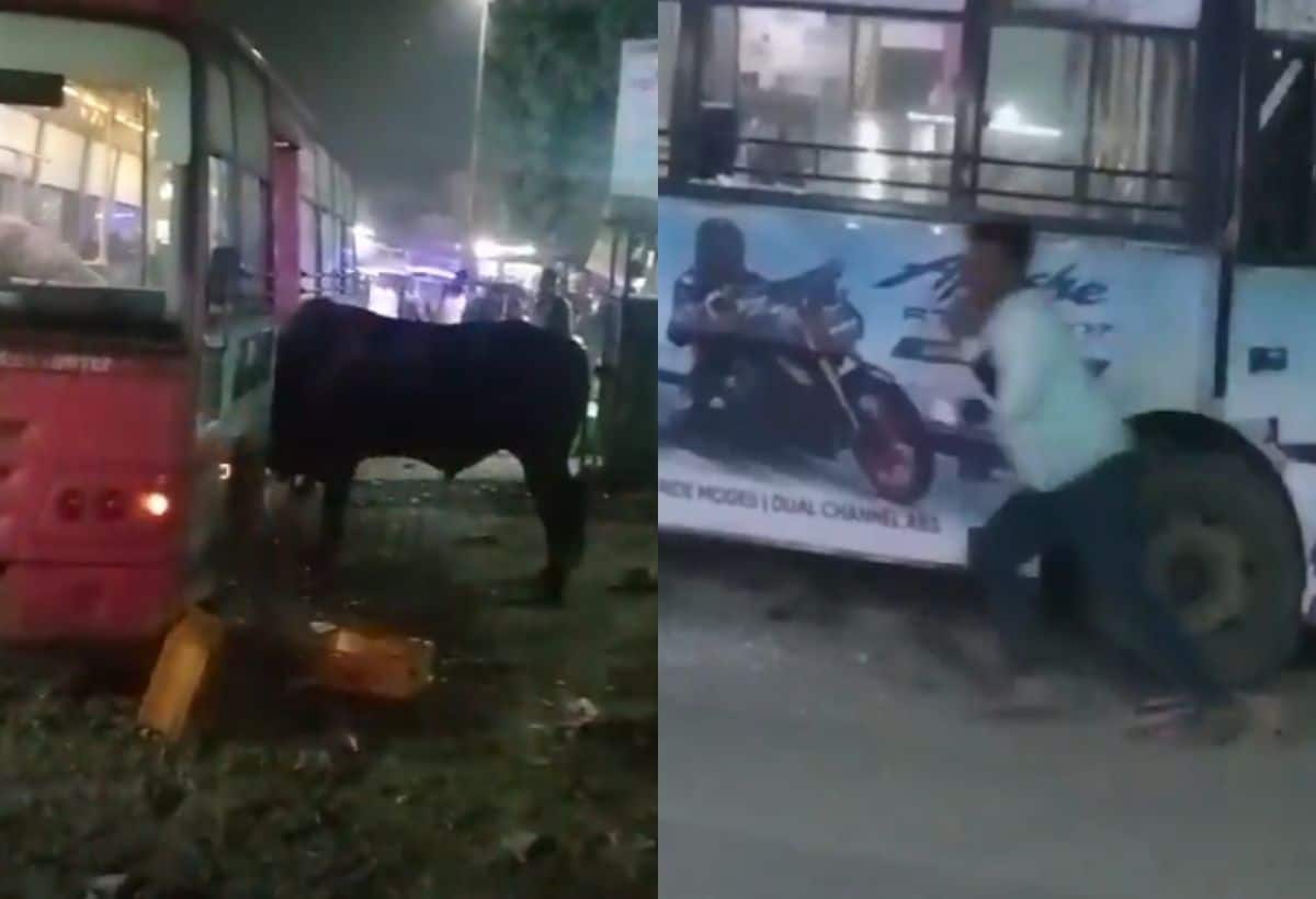 Jaipur News: बस खड़ी थी, सवारियां बैठी थी, तभी घुस गया सांड, मचा हड़कंप, देखें वीडियो