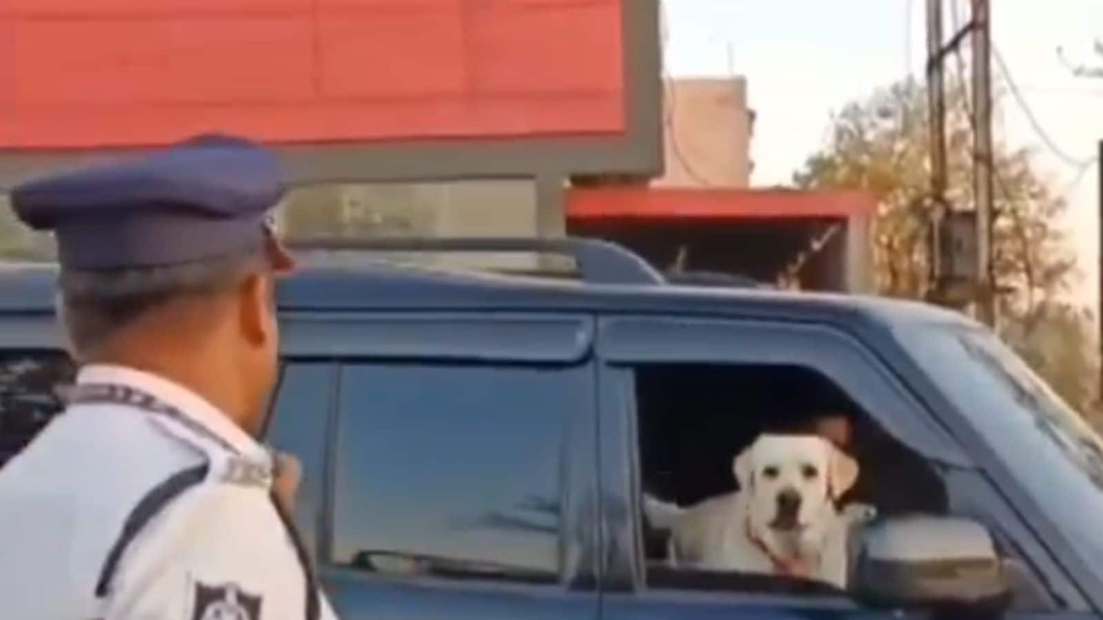 Traffic Challan Video: कार के भीतर से कुत्ते ने भौंका, ट्रैफिक पुलिस ने नहीं काटा चालान, वीडियो वायरल