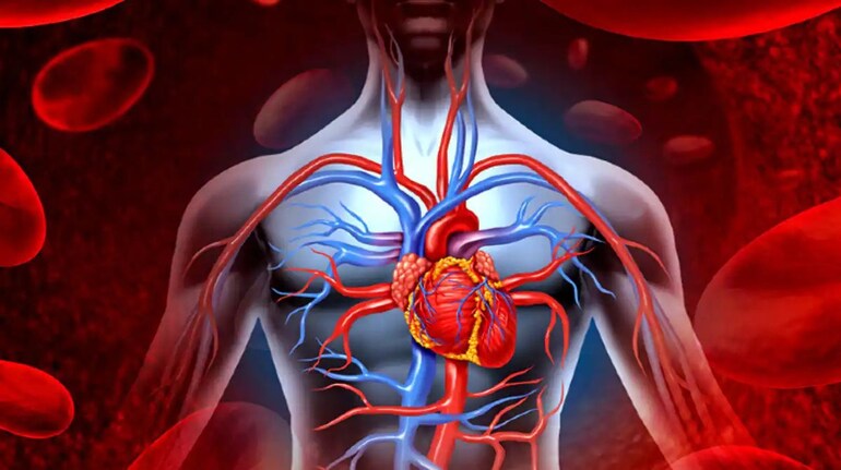 Heart blockage Test: हार्ट में ब्लॉकेज है या नहीं, इस टेस्ट से फौरन मिलेगी  सटीक जानकारी | Moneycontrol Hindi