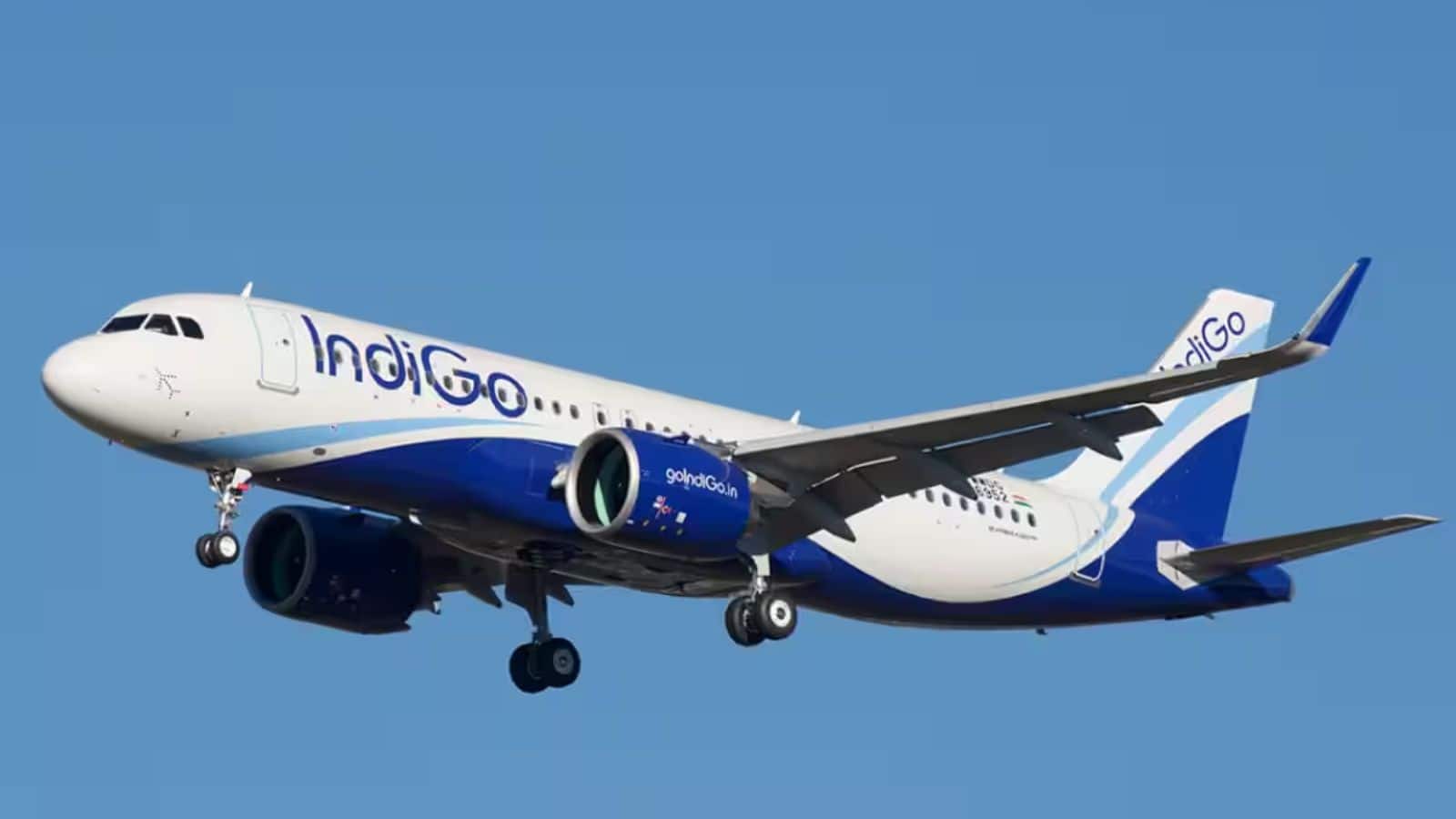 InterGlobe Aviation Stocks: गिरावट में भी हिमालय की तरह डटा रहा Indigo का स्टॉक, क्या आपके पोर्टफोलियो में है यह शेयर?
