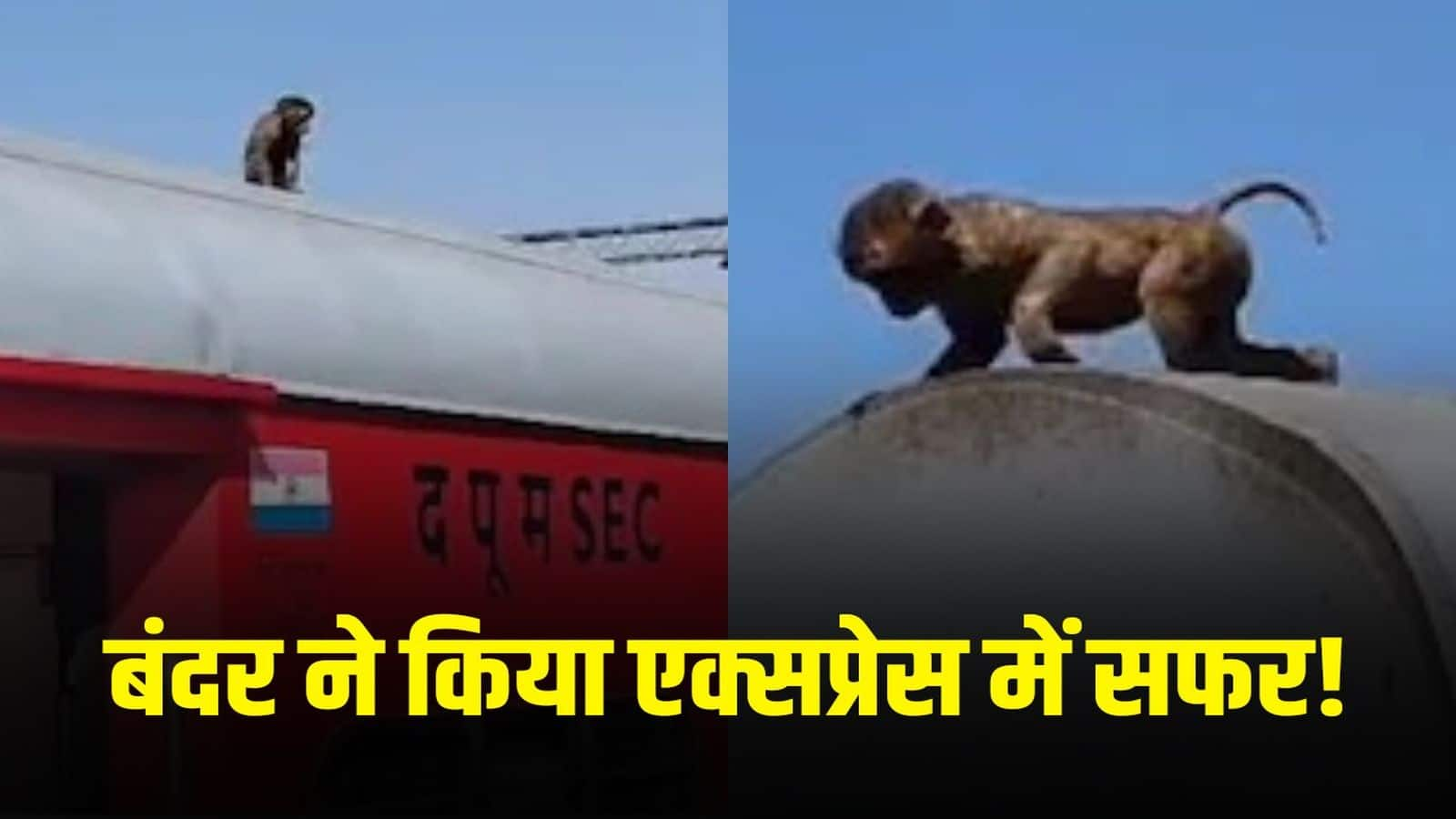 Viral Video: ट्रेन की छत पर बैठकर बंदर ने किया 180 km सफर, छत्तीसगढ़ एक्सप्रेस का वीडियो हुआ वायरल