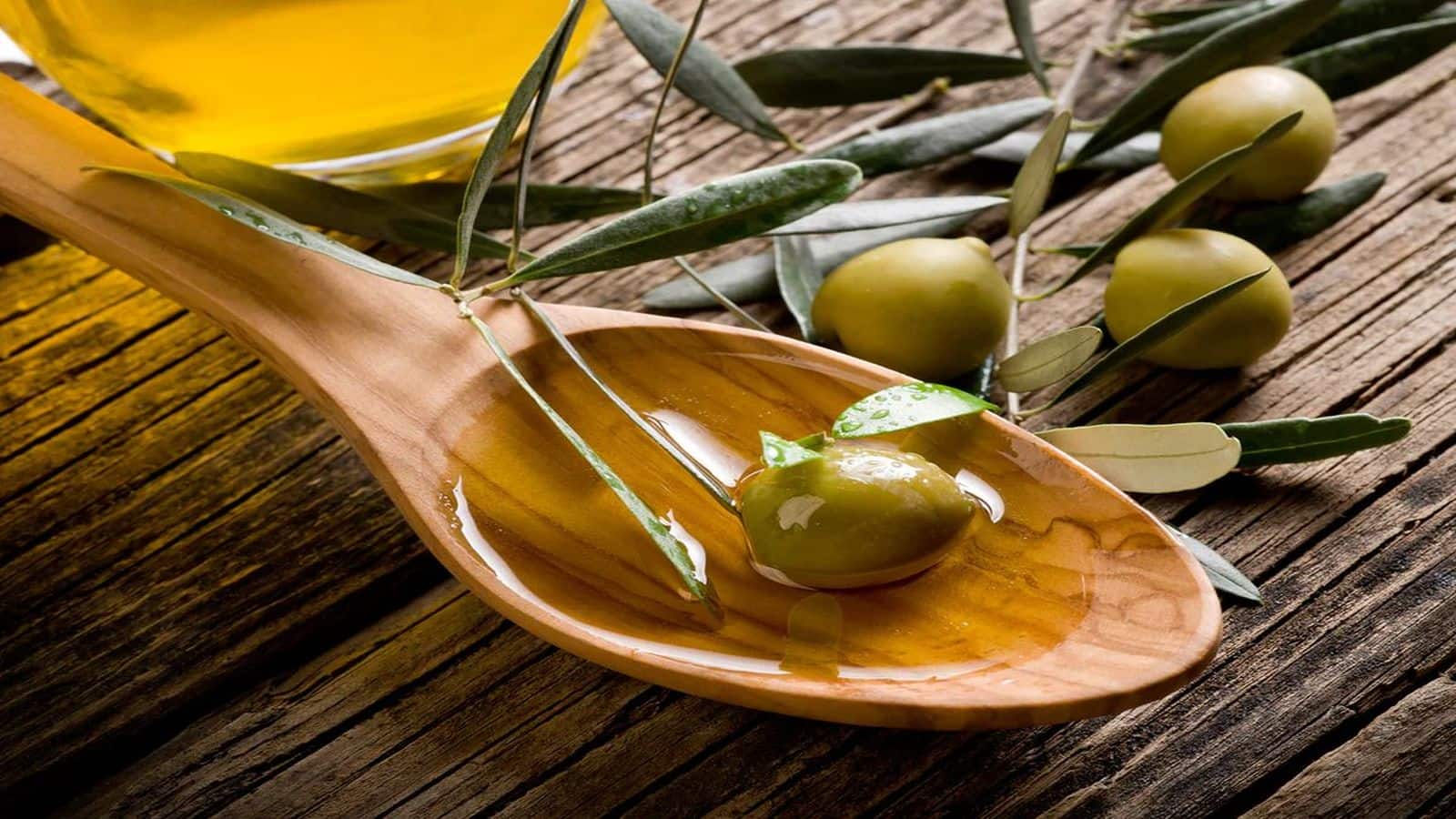 Olive Oil for Diabetes: जैतून का तेल भयंकर से भयंकर शुगर का कर देगा नाश, दिल के लिए फायदेमंद, जानिए कैसे करें सेवन Olive Oil for Diabetes: जैतून का तेल भयंकर से भयंकर शुगर का कर देगा नाश, दिल के लिए फायदेमंद, जानिए कैसे करें सेवन