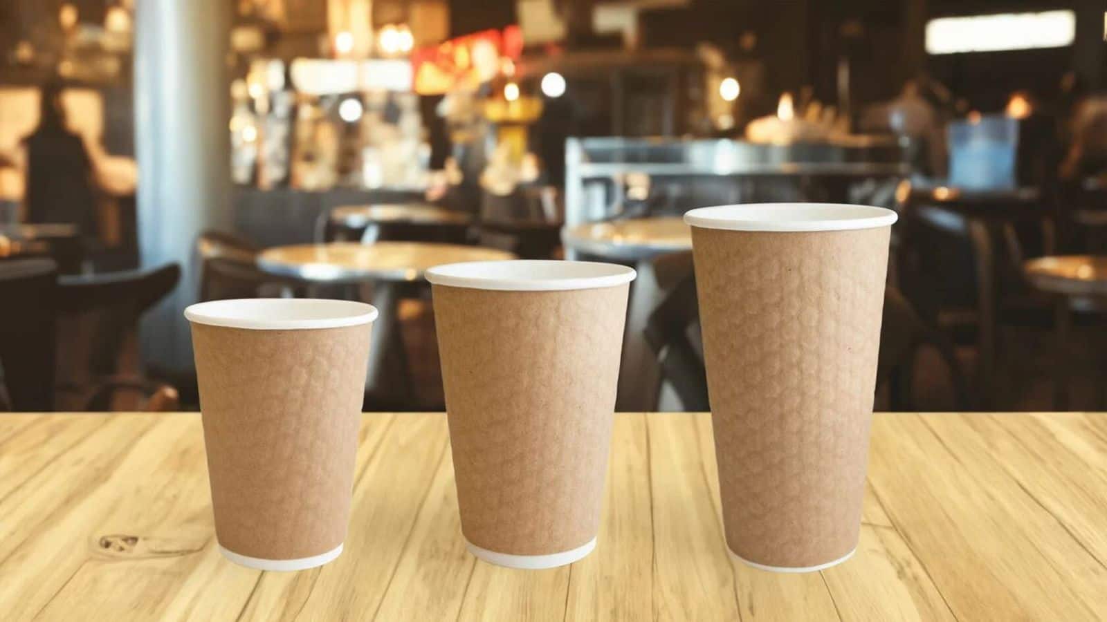 Start Your Own Disposable Tableware Business: Cups, Plates, and Glasses