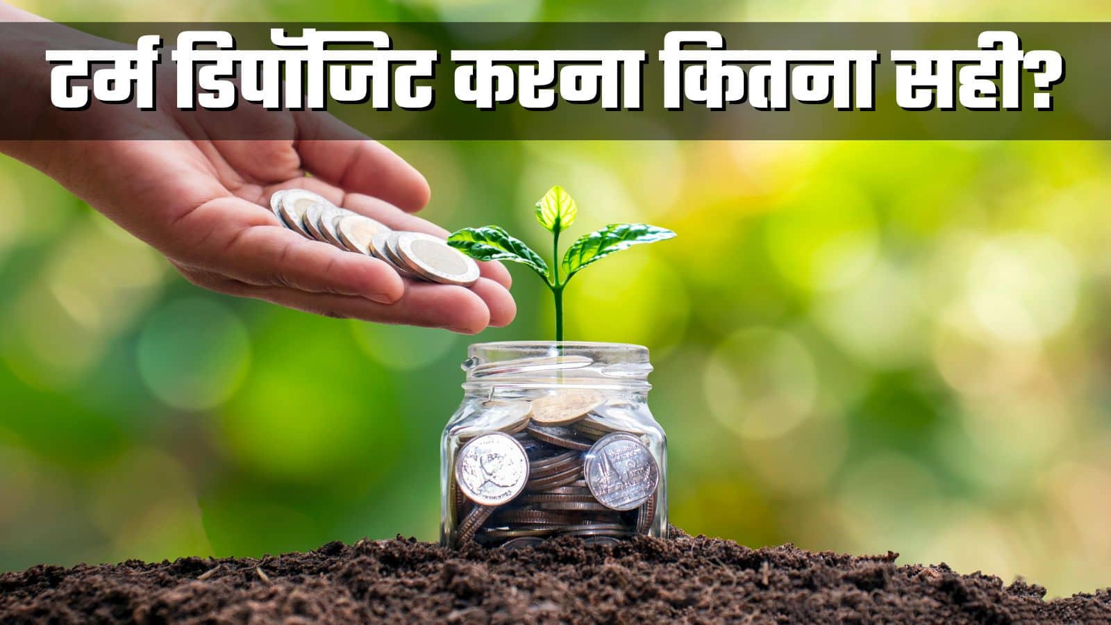 Term Deposit: कोई जोखिम नहीं, रिटर्न भी गारंटीड; जानिए टर्म डिपॉजिट के सभी फायदे