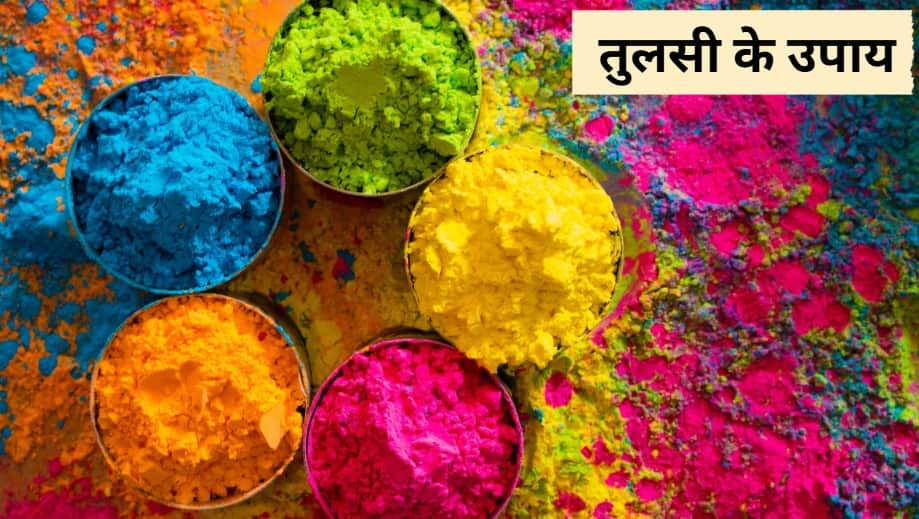 Holi 2025: होली पर तुलसी का यह छोटा सा उपाय कर देगा कमाल, धन की नहीं होगी कमी