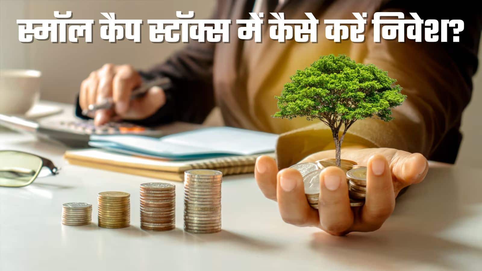 Investment Tips: छोटी कंपनियों में निवेश से होगा बड़ा मुनाफा, बस इन बातों का रखें ध्यान