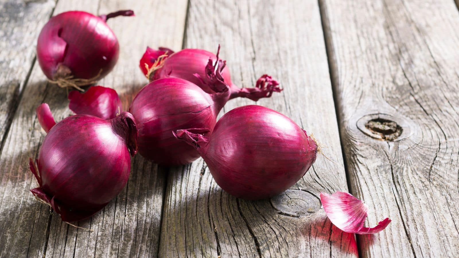 Benefits of onion: गर्मी में रोज खाएं कच्चा प्याज, फायदे इतने कि आप खुद रह जाएंगे हैरान