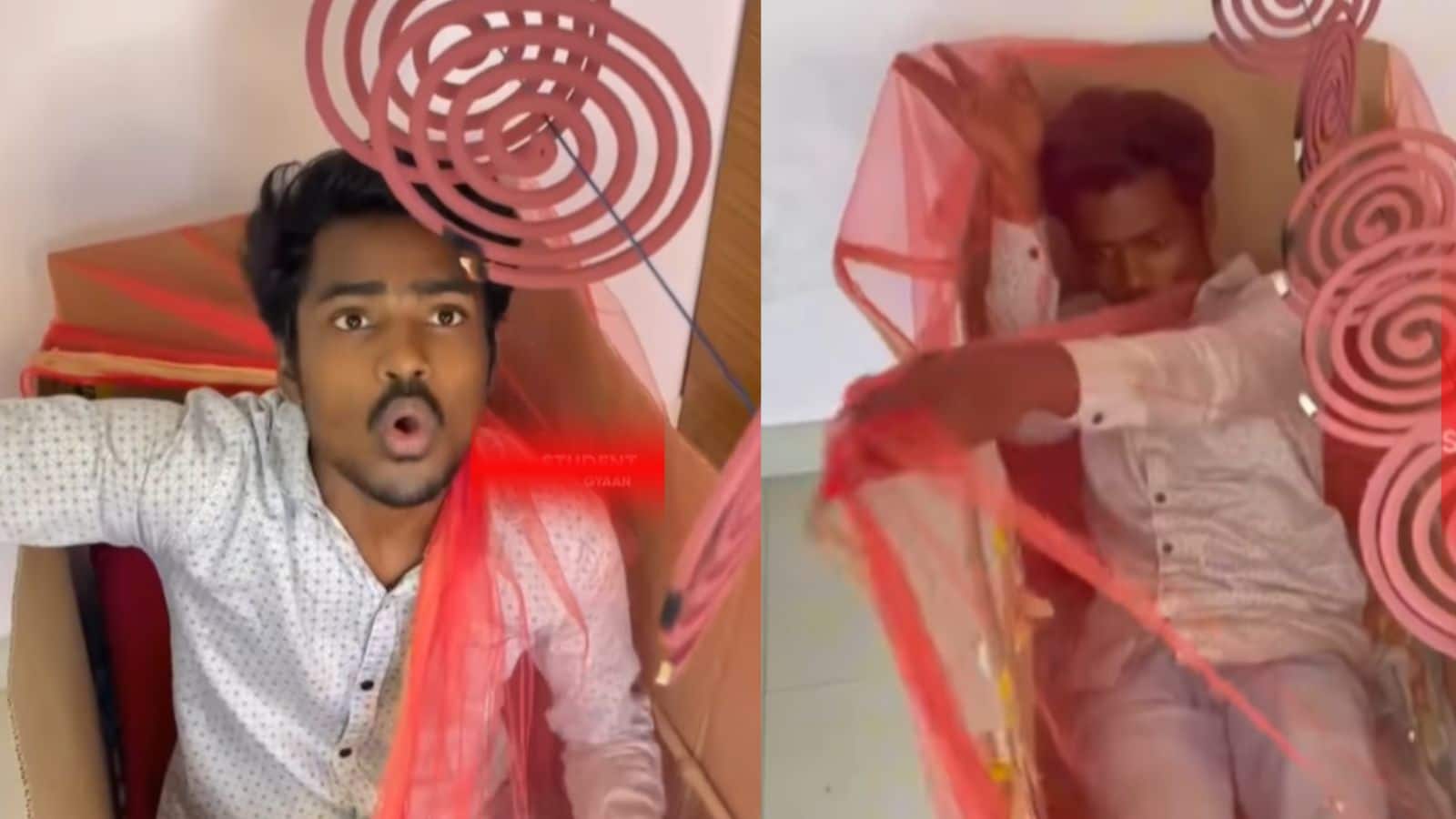 Video: सुकून की नींद के लिए शख्स ने किया ऐसा सेटअप, मच्छरों की हालत पस्त