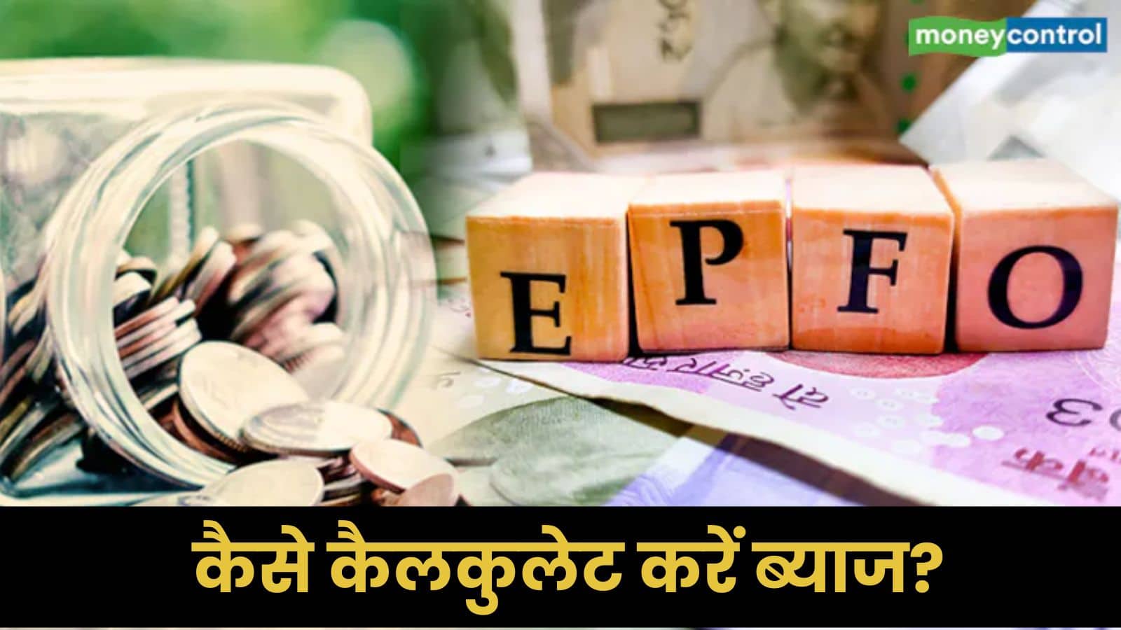 EPF योगदान पर कैसे कैलकुलेट होता है ब्याज, टैक्स के लिए क्या हैं नियम; जानें पूरी डिटेल
