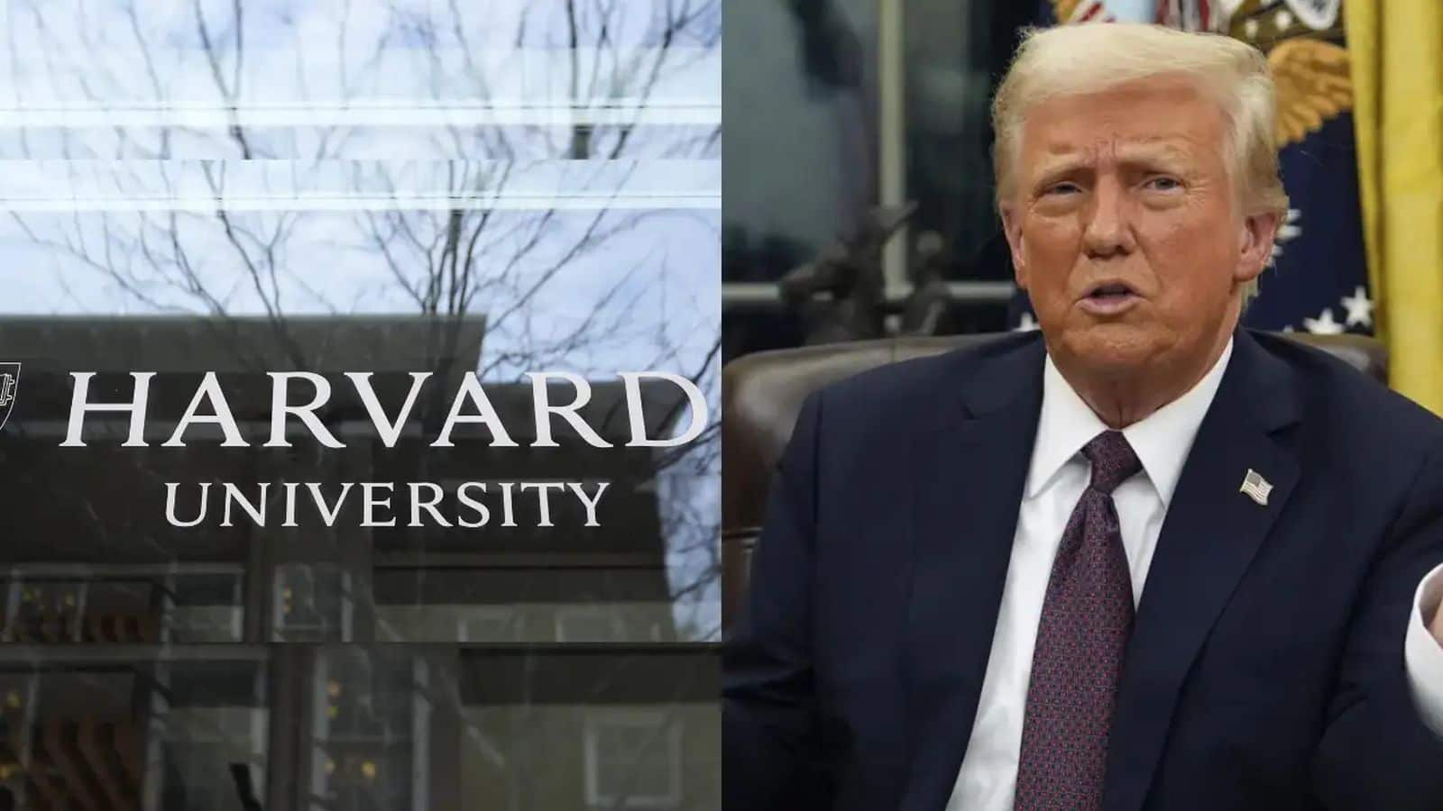 Harvard University: डोनाल्ड ट्रंप और हार्वर्ड यूनिवर्सिटी की लड़ाई कोर्ट में पहुंची, ट्रंप प्रशासन ने रोकी थी फंडिंग