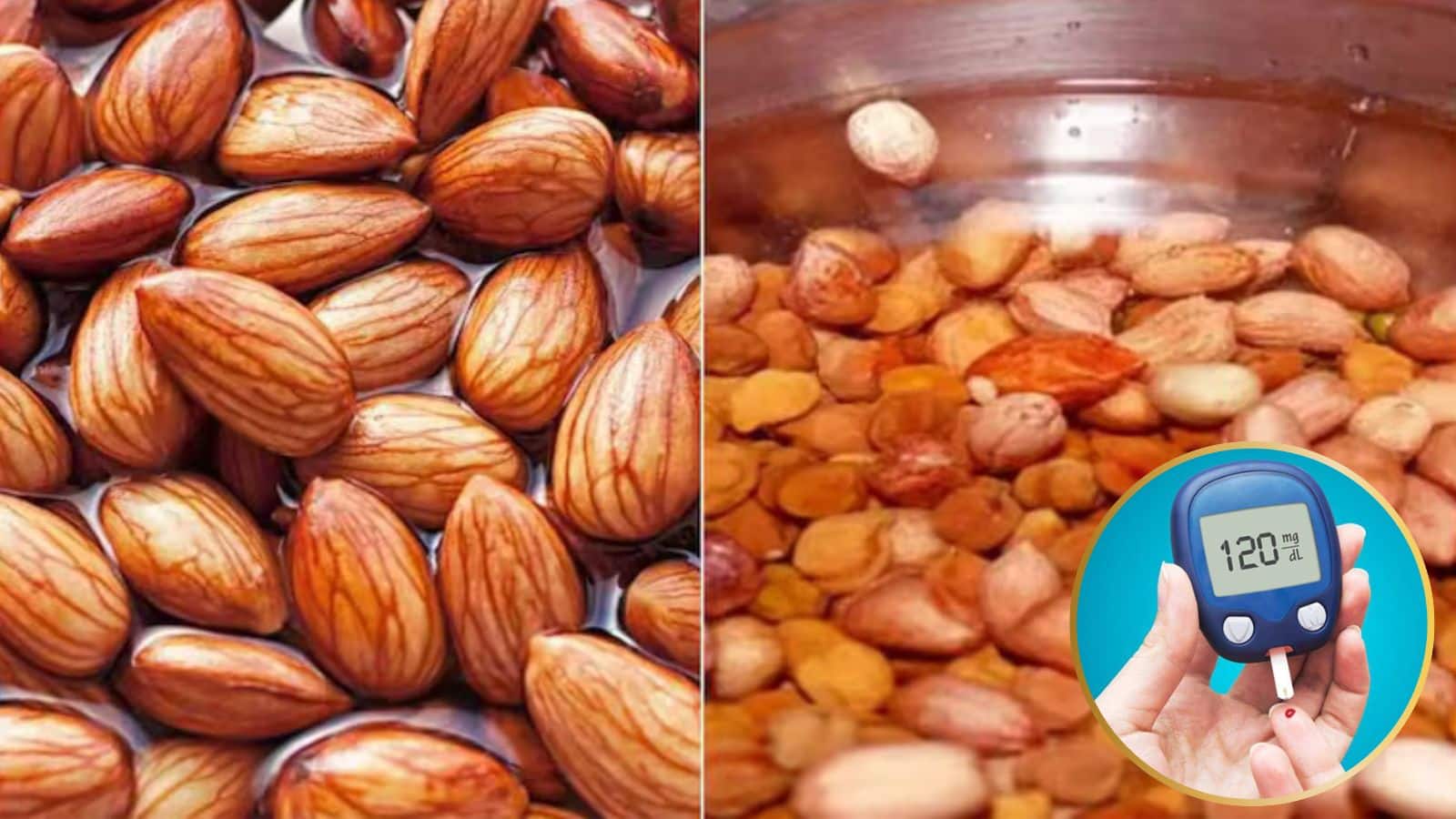 Diabetes: डायबिटीज के मरीज ब्रेकफास्ट में इन 5 चीजों को करें शामिल, शुगर लेवल पर रहेगा पूरा कंट्रोल