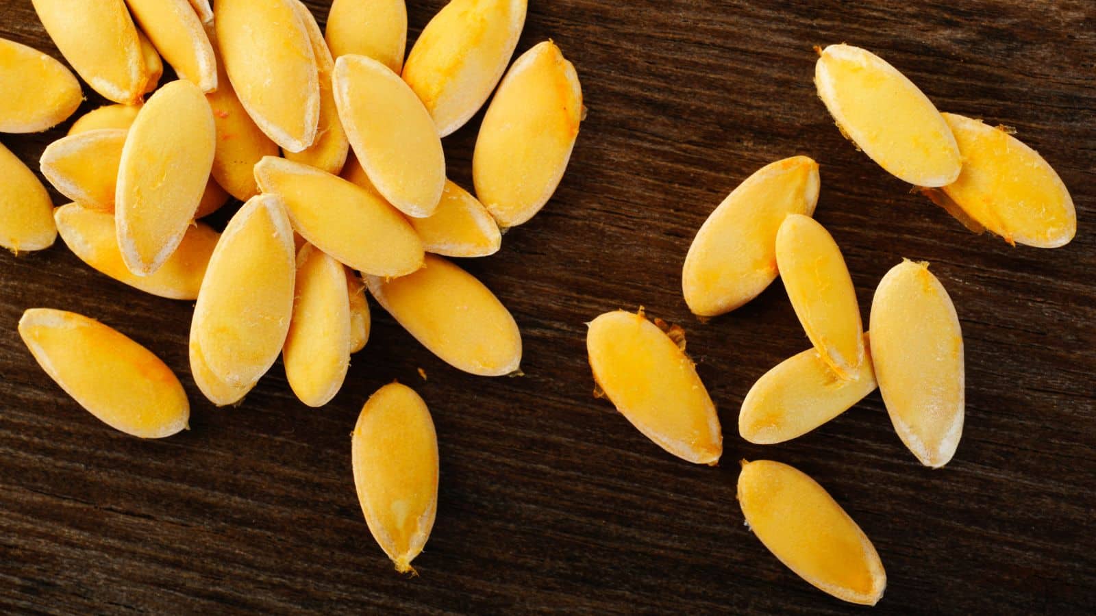 Muskmelon seeds: इन बीमारियों का काल है खरबूजे के बीज, फेंकने से पहले जान लें इनके जबरदस्त फायदे