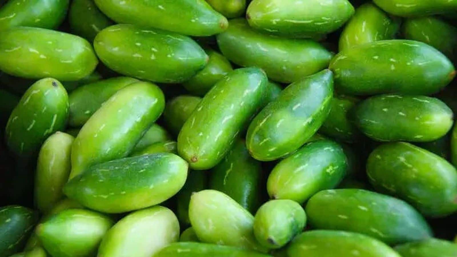 Diabetes के मरीजों के लिए कुंदरू किसी दवा से कम नहीं, बढ़ेगी इम्यूनिटी, मिलेंगे कई फायदे