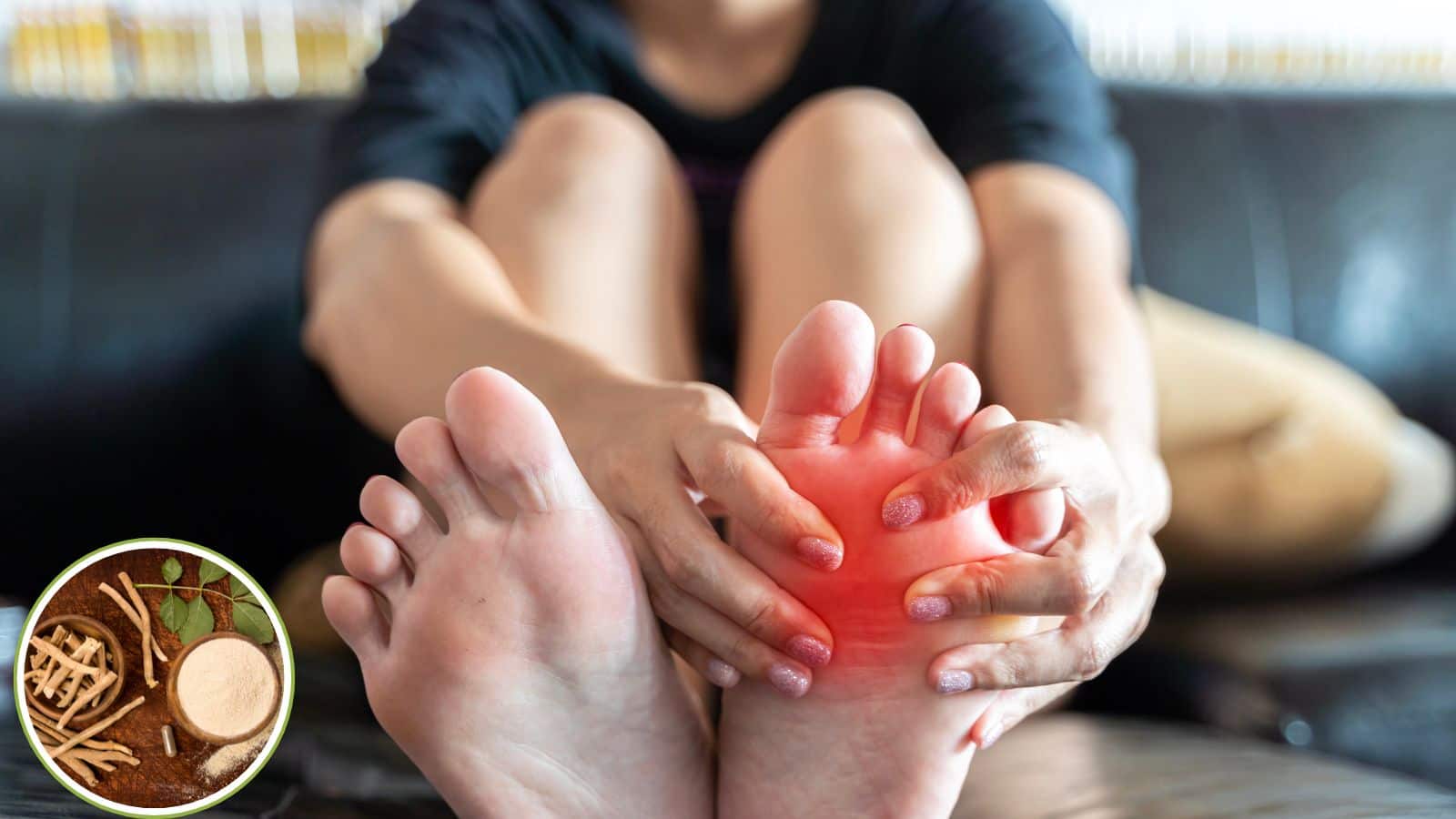Uric Acid: यूरिक एसिड की संजीवनी हैं ये 8 जड़ी-बूटियां, जानिए कैसे करें इस्तेमाल