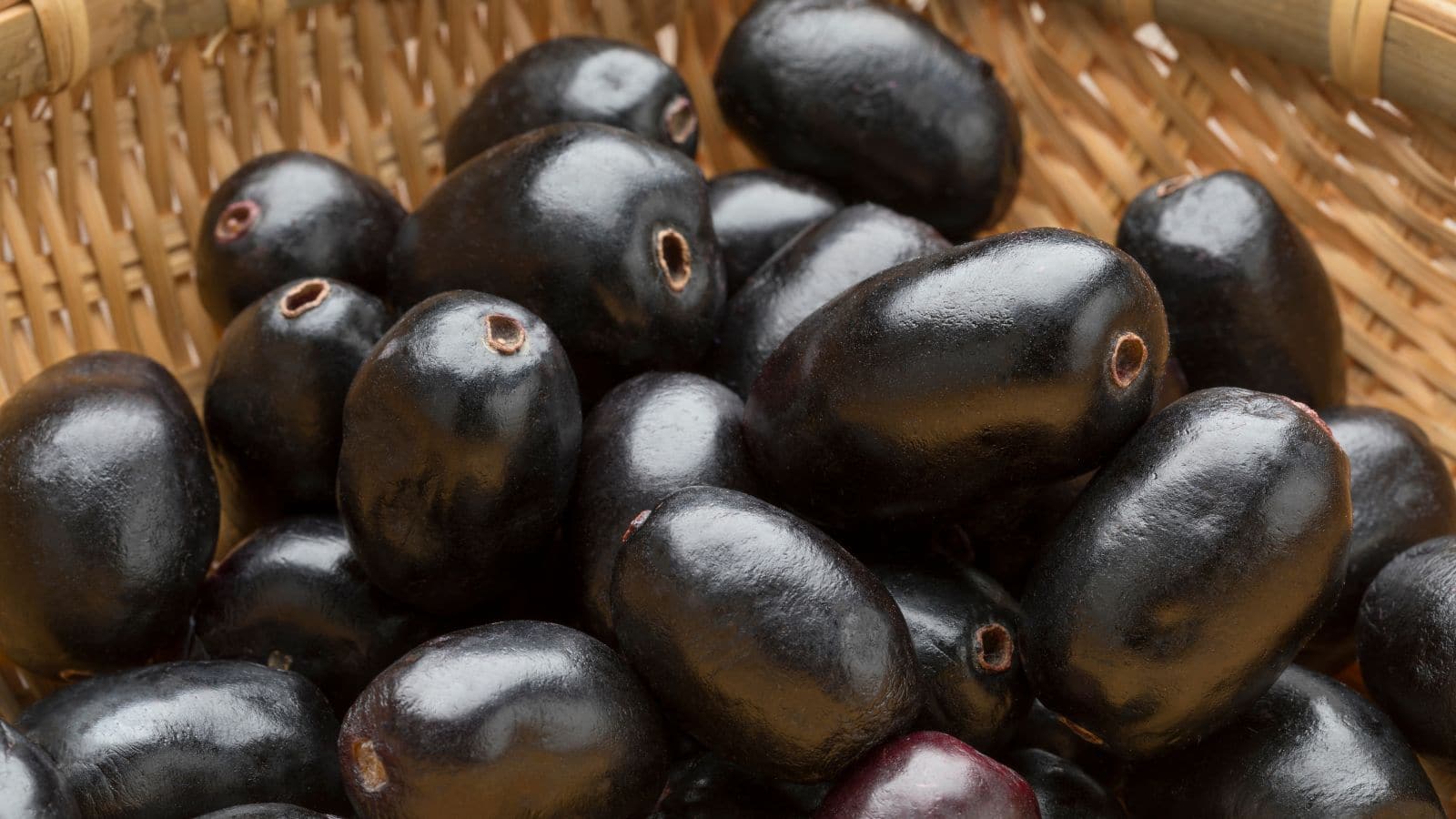 Jamun Seeds for Diabetes: शुगर के मरीजों के लिए वरदान है ये छोटा बीज, जानिए कैसे करें इसका सही इस्तेमाल