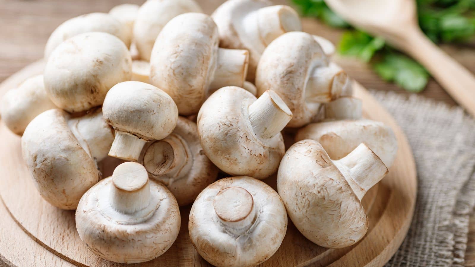 Mushroom: बड़े चाव से लोग खाते हैं मशरूम की सब्जी, अब जान लीजिए शाकाहारी है या मांसाहारी Mushroom: बड़े चाव से लोग खाते हैं मशरूम की सब्जी, अब जान लीजिए शाकाहारी है या मांसाहारी