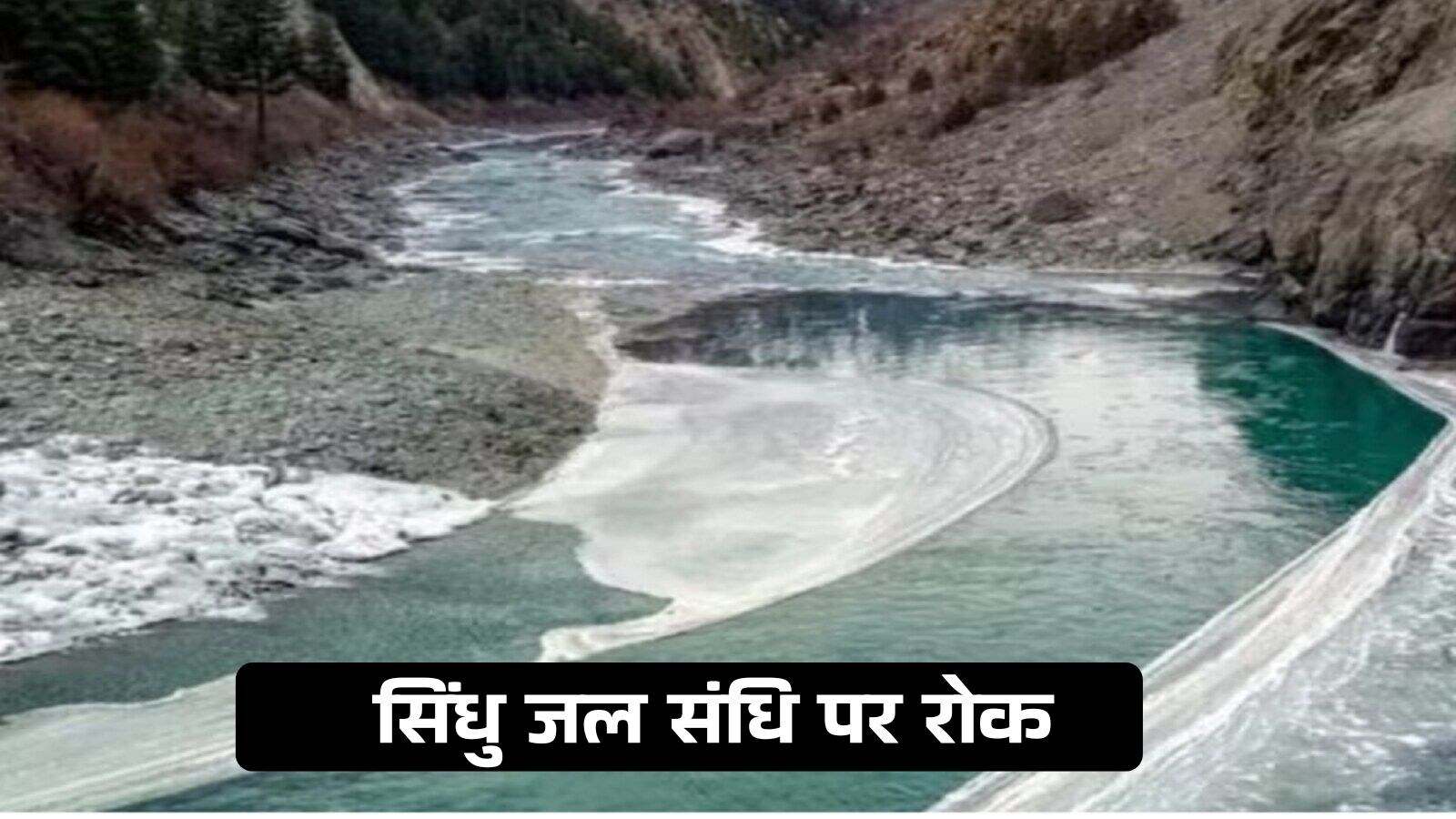 भारत का पाकिस्तान को करारा जवाब, सिंधु जल संधि पर लगाई रोक - india suspends indus water treaty after pahalgam terror attack | Moneycontrol Hindi
