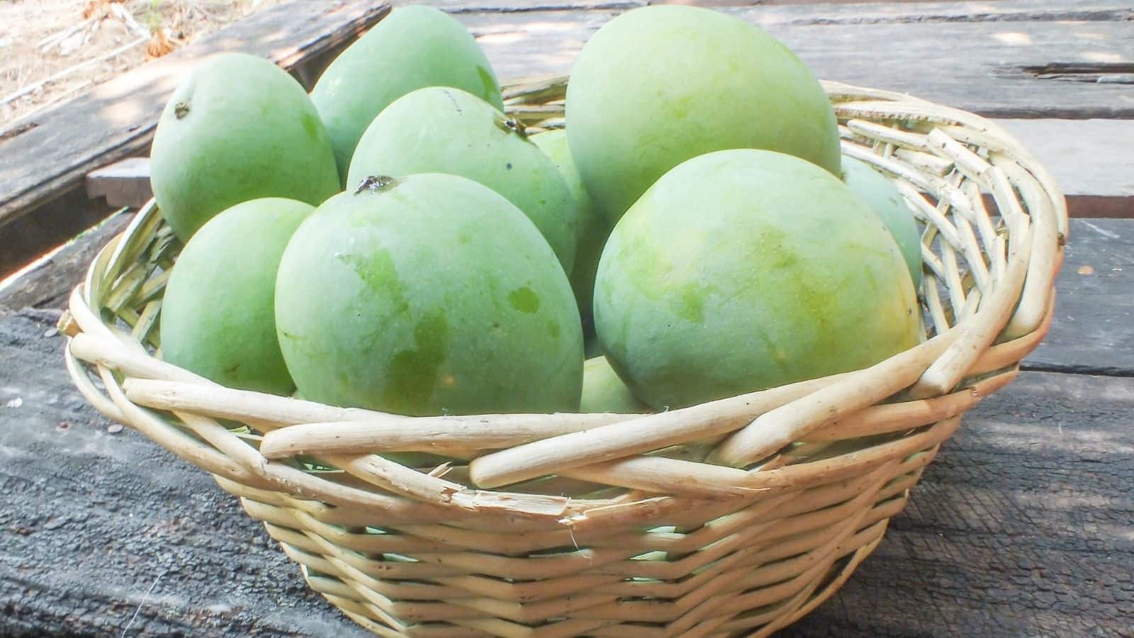 Mango Tips at Home: गर्मियों में आम का मजा दुगना करें, जानें कच्चे आम को जल्दी पकाने के 4 आसान तरीके