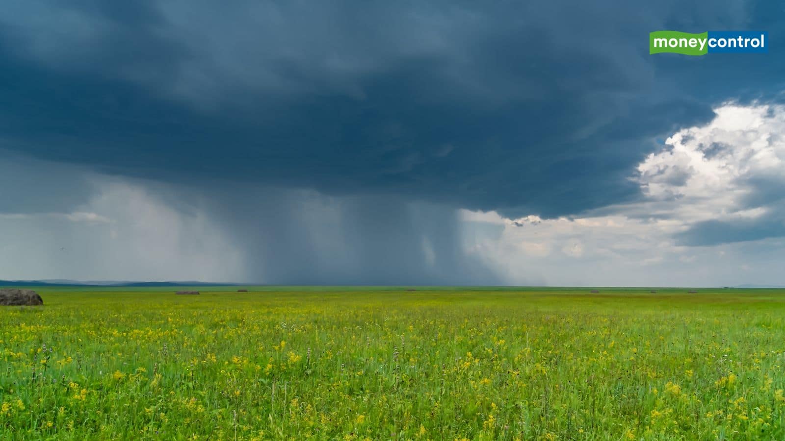 Monsoon 2025: 16 साल बाद जल्दी आएगा मानसून? क्या है मौसम विभाग का अनुमान
