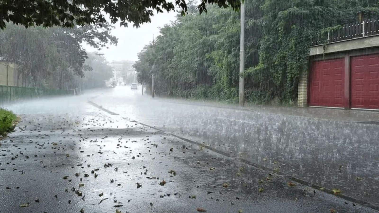 IMD Heavy Rain Alert: अगले 24 घंटे में इन पांच राज्यों में होगी भारी बारिश, रेड अलर्ट जारी, लोगों को दी गई ये सलाह